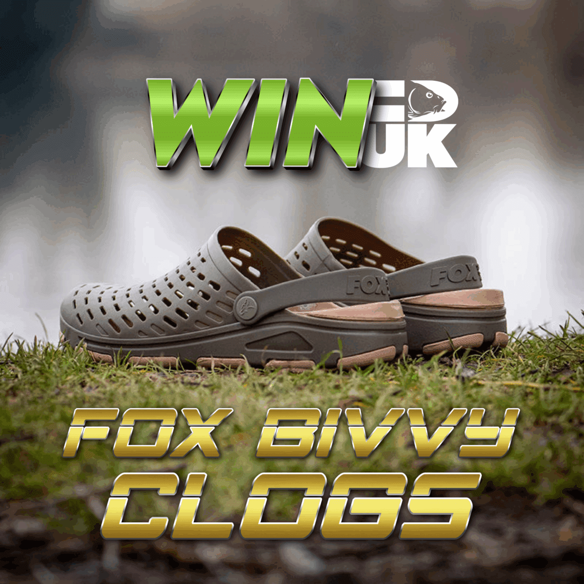 Fox Clogs