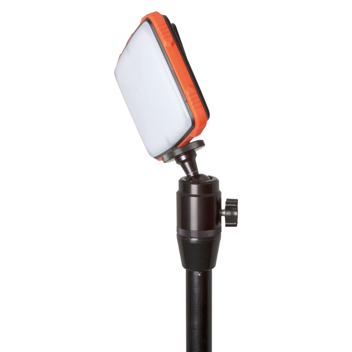 Fox Halo Photography Light - Image 3